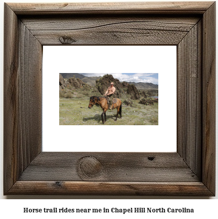 horse trail rides near me in Chapel Hill, North Carolina